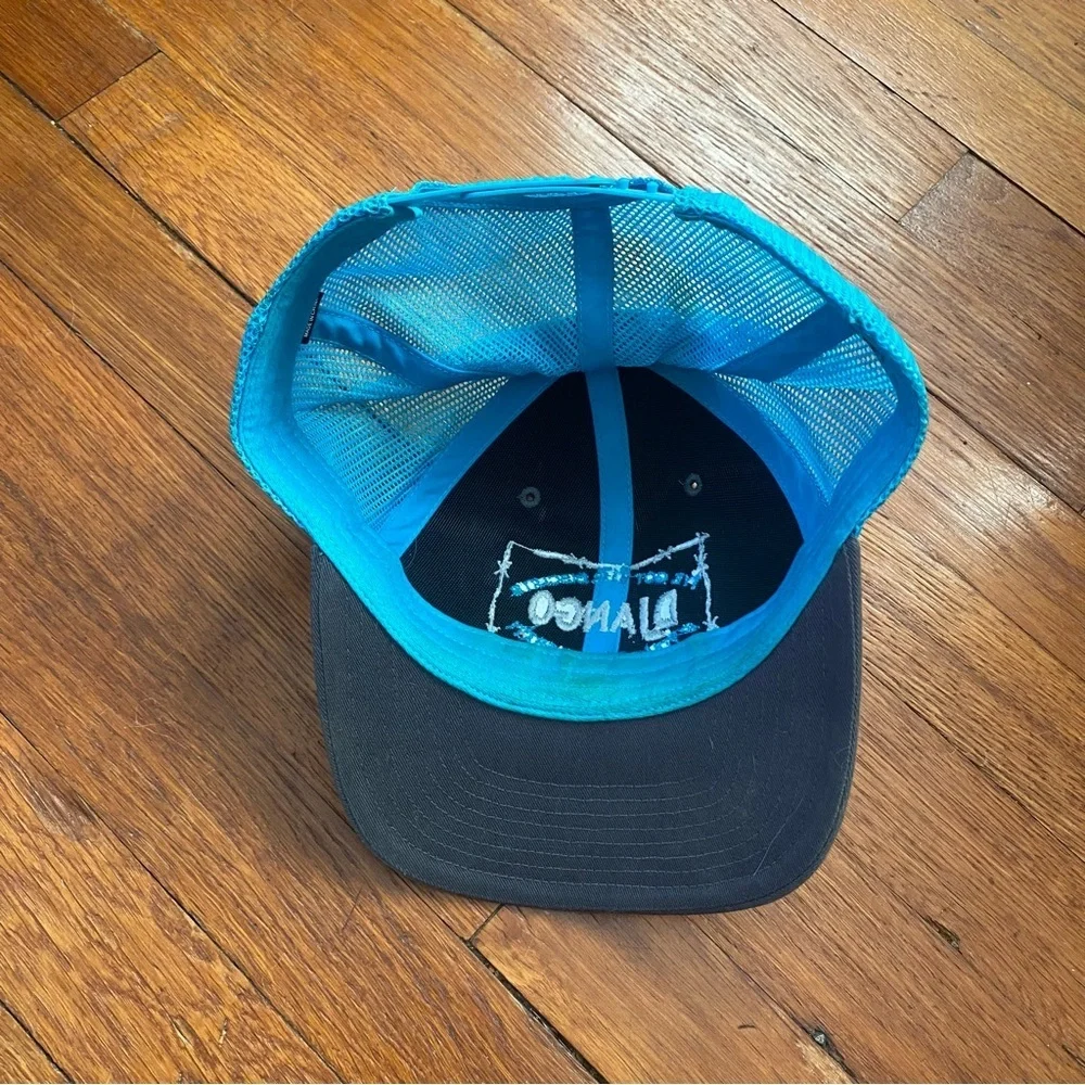Gray and Blue DJANGO Ball Cap
